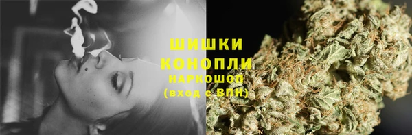 ПСИЛОЦИБИНОВЫЕ ГРИБЫ Алексеевка