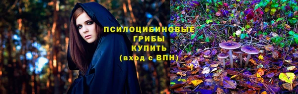 СК Алзамай